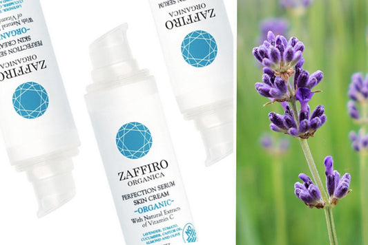I Benefici della lavanda per la nostra pelle e capelli