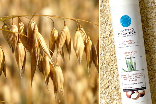 Avena, el secreto de belleza de los Egipcios